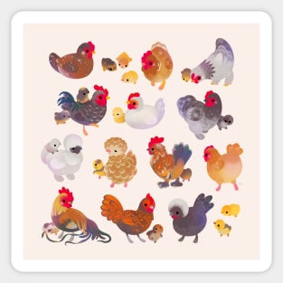 Chicken and Chick Sticker